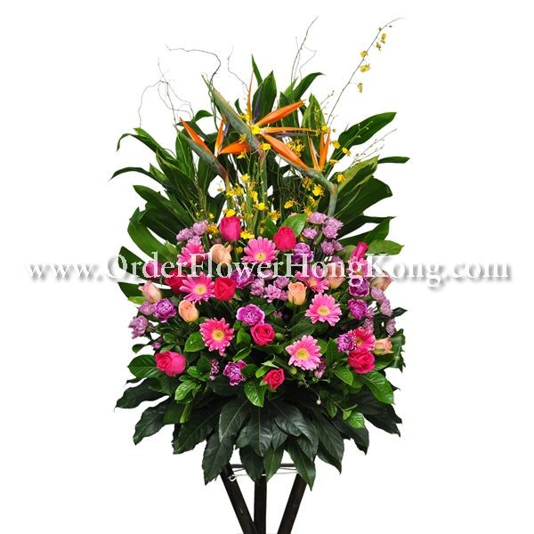 Colorful floral arrangement with pink, orange, and yellow flowers surrounded by lush green leaves.